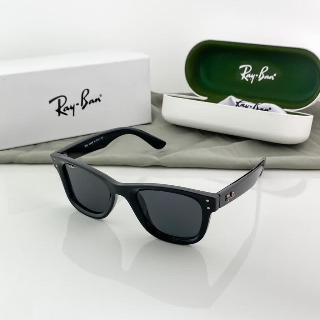 Ray-Ban Wayfarer Polarized Sunglasses - Gloss Black Acetate